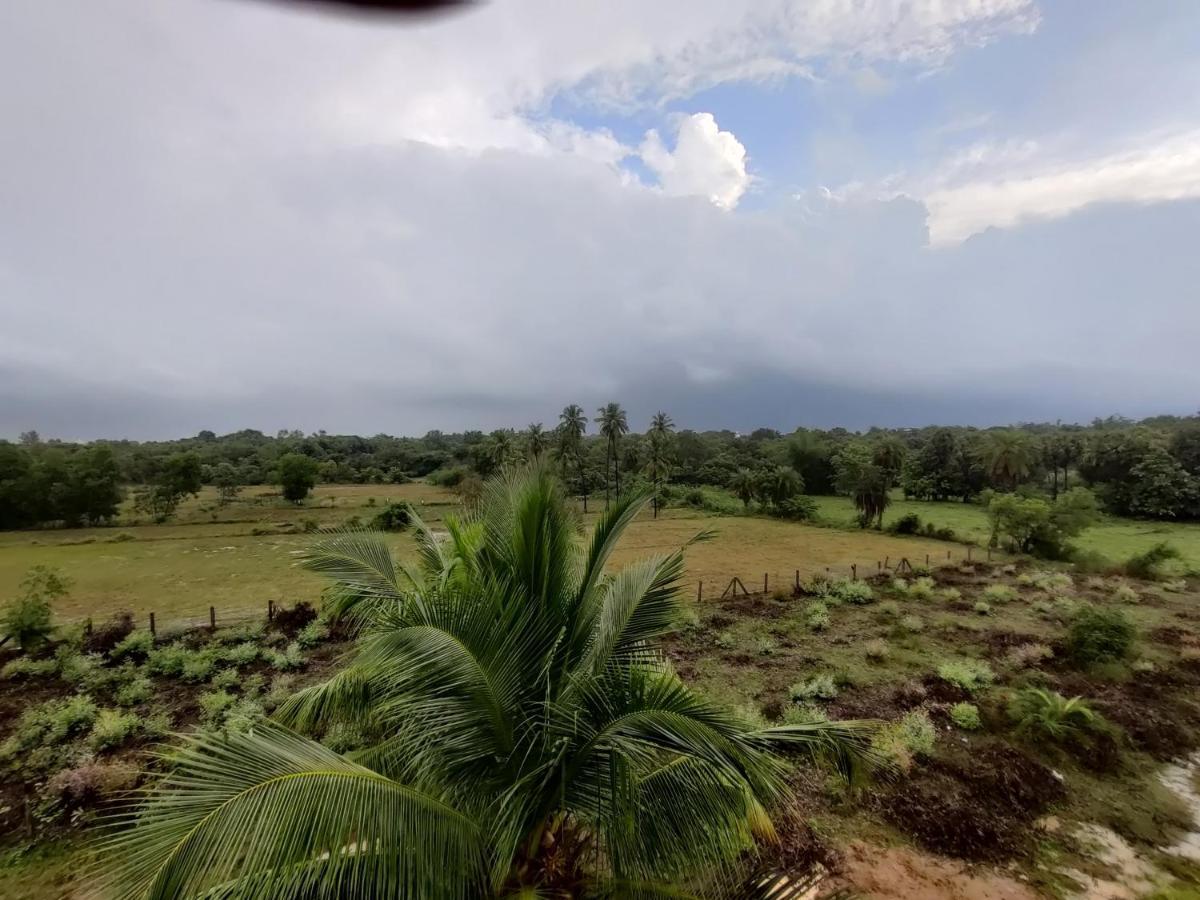 Woodpacker Hostel Auroville Pondicherry Экстерьер фото